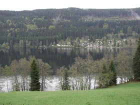 Der Titisee