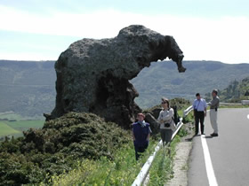 "Elefant" - vom Wetter geformter Fels, nähe Castelsardo