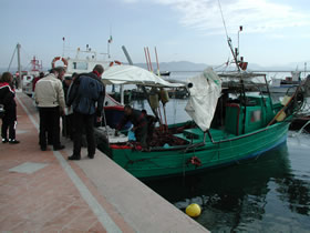 Im Hafen von San Antioco