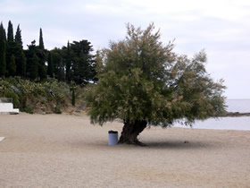 Am Strand von Llanca / Costa Brava